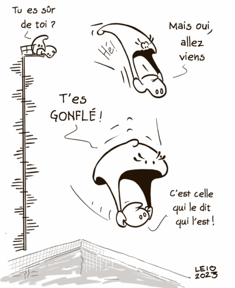 ff-012-le-grand-saut